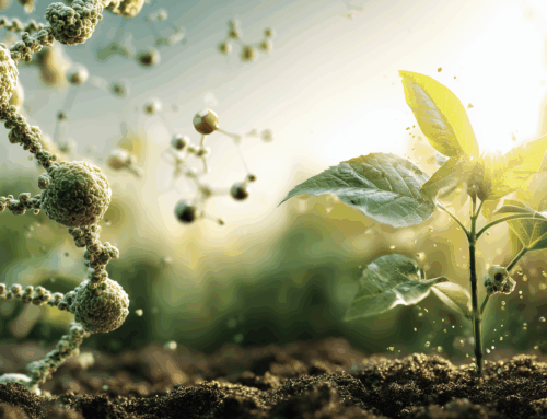 The Bioeconomy: A Greener Future in Motion